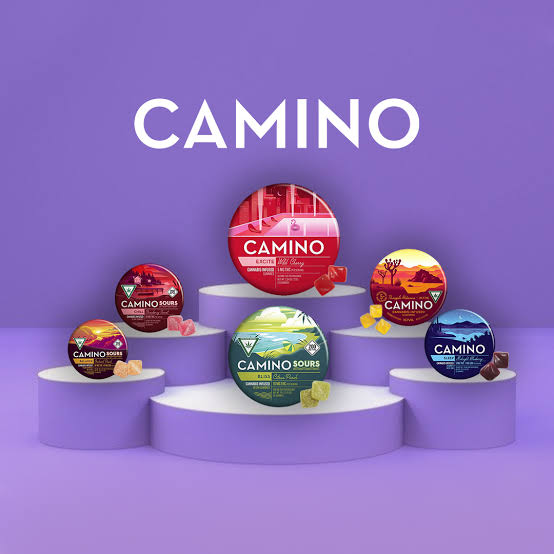 camino edible gummies