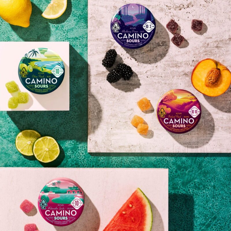 camino edible gummies